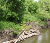 Siouxfalls May07 010